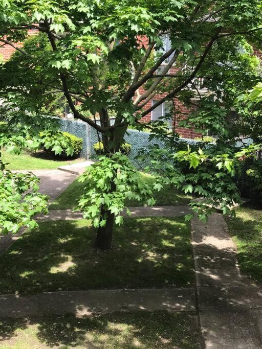 Brooklyn Luxury Spring Retreat With Private Outdoor Space Нью-Йорк Экстерьер фото